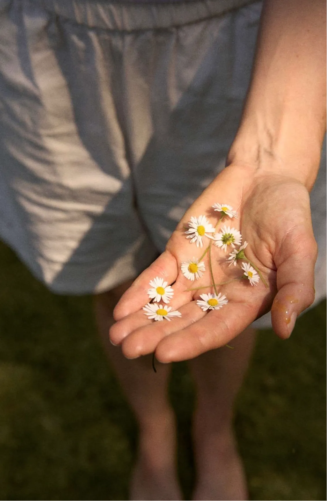Madeliefjes in de hand bij Puur in Harmonie